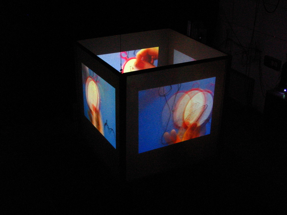 Random work from Laurien Versteegh | I am, graduation project - video installation | Picture 3